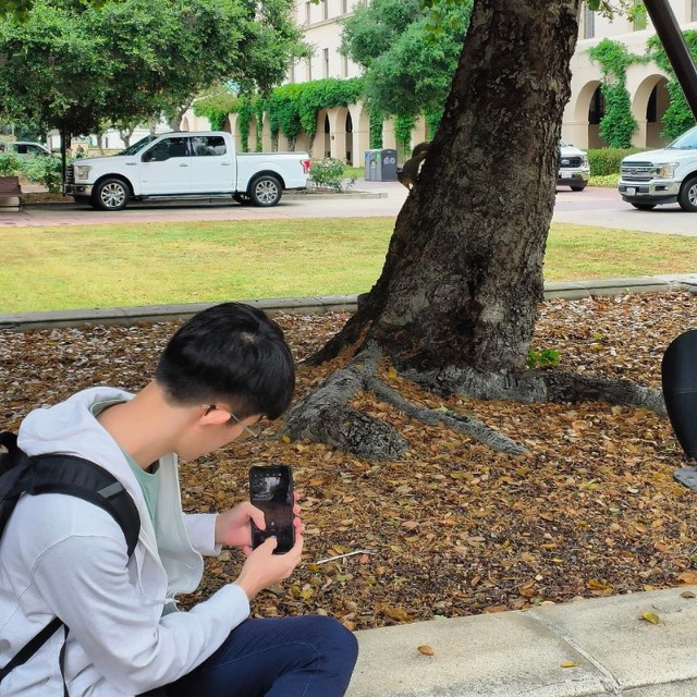 Caltech Squirrel