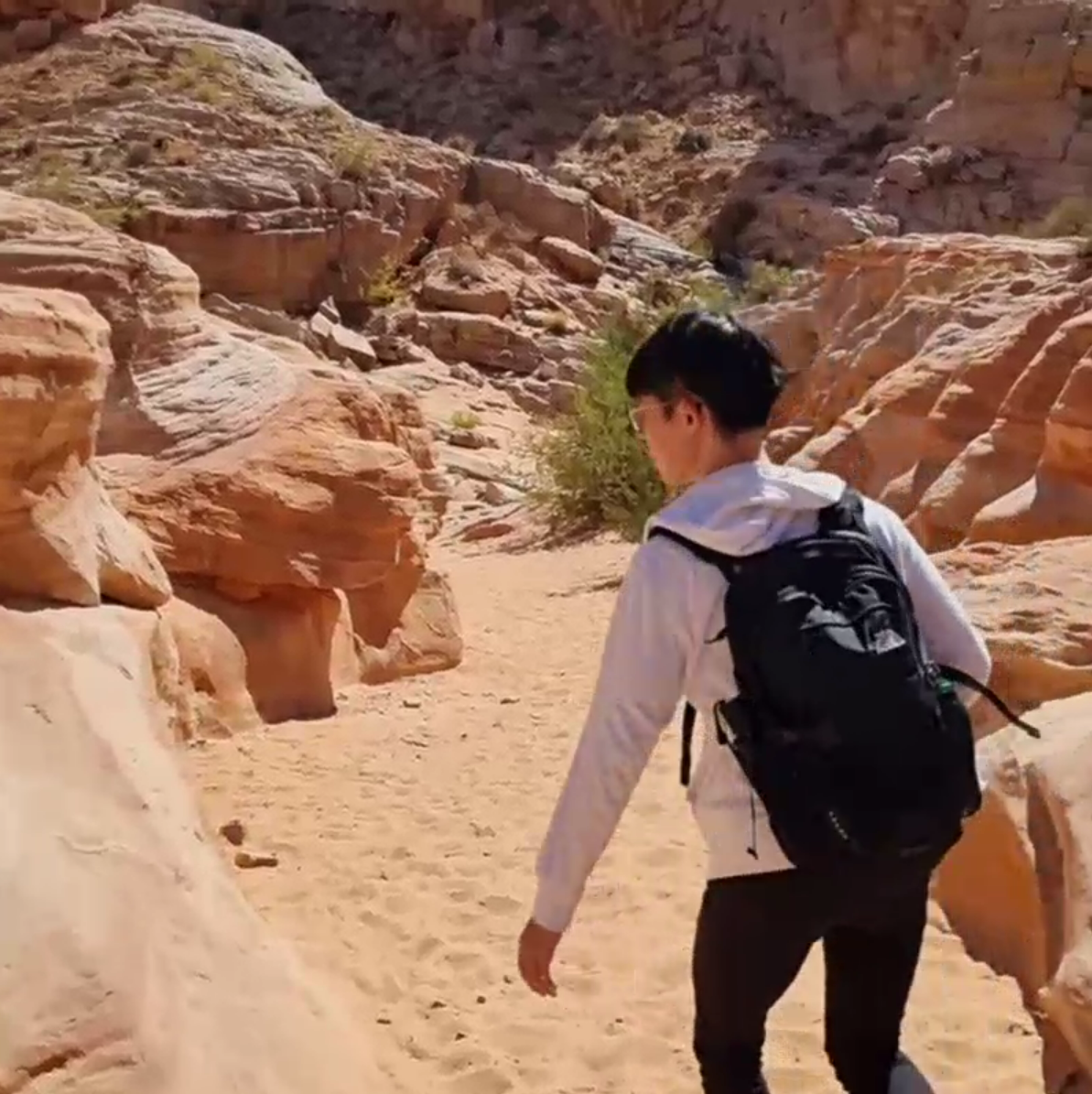 Valley of Fire running